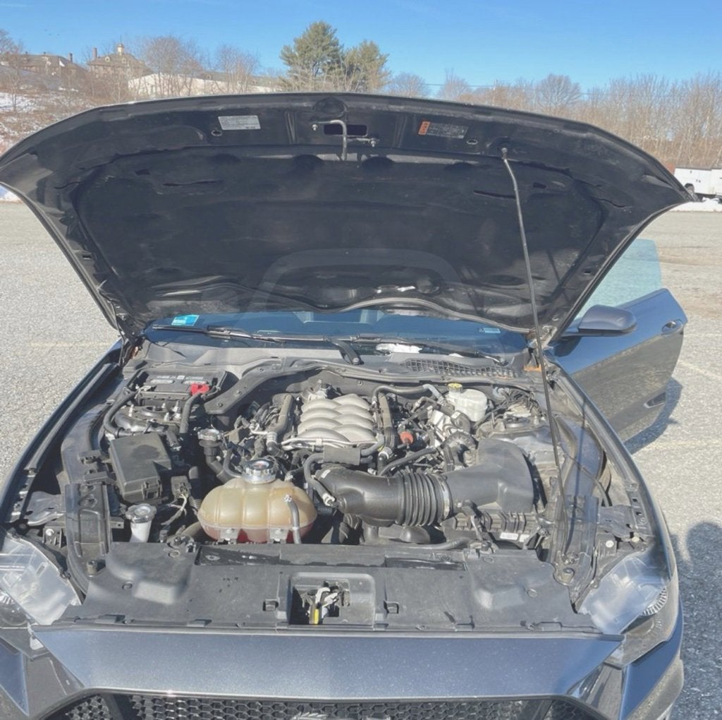 2019 Ford Mustang GT