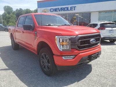 2022 Ford F-150 XL