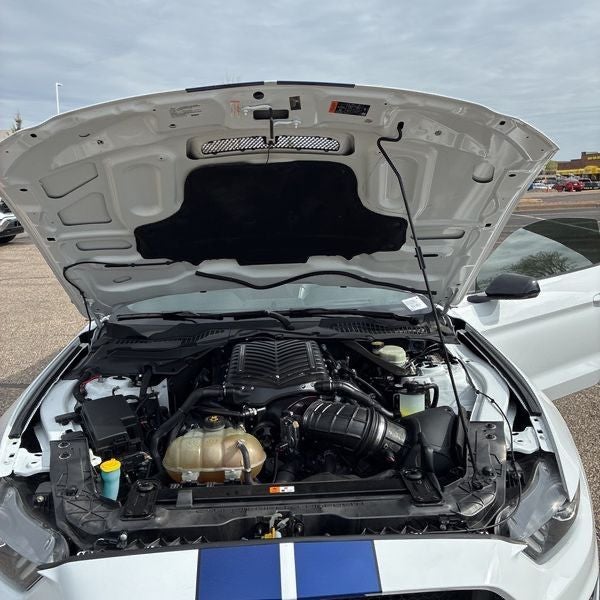 2016 Ford Mustang Shelby GT350