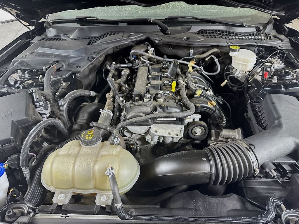 2021 Ford Mustang EcoBoost