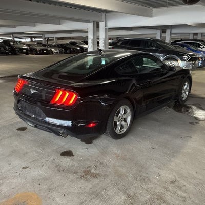 2021 Ford Mustang EcoBoost