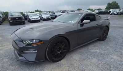 2019 Ford Mustang EcoBoost