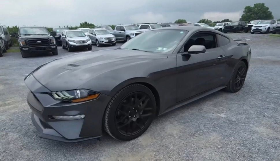 2019 Ford Mustang EcoBoost