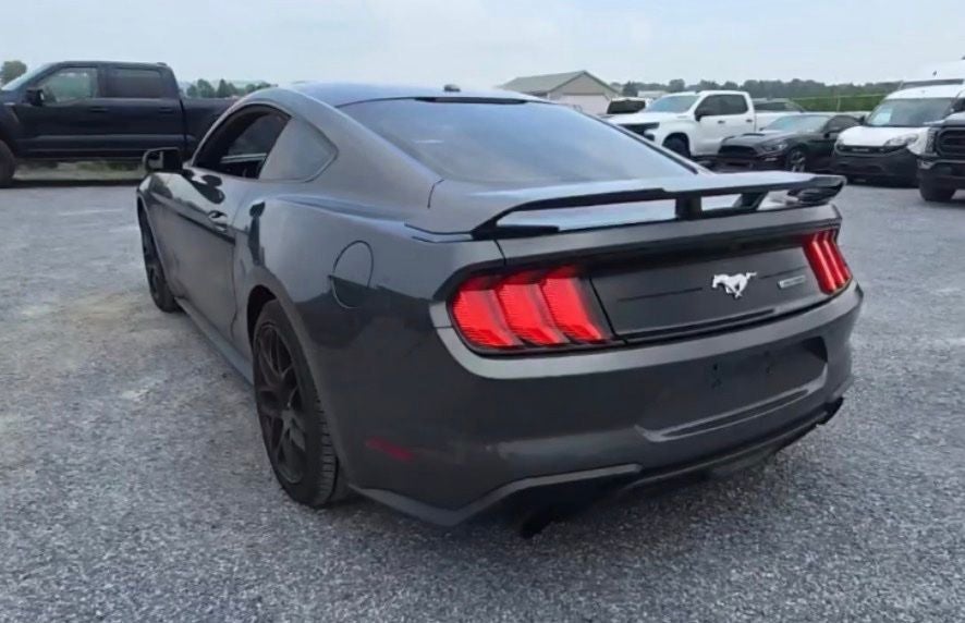 2019 Ford Mustang EcoBoost